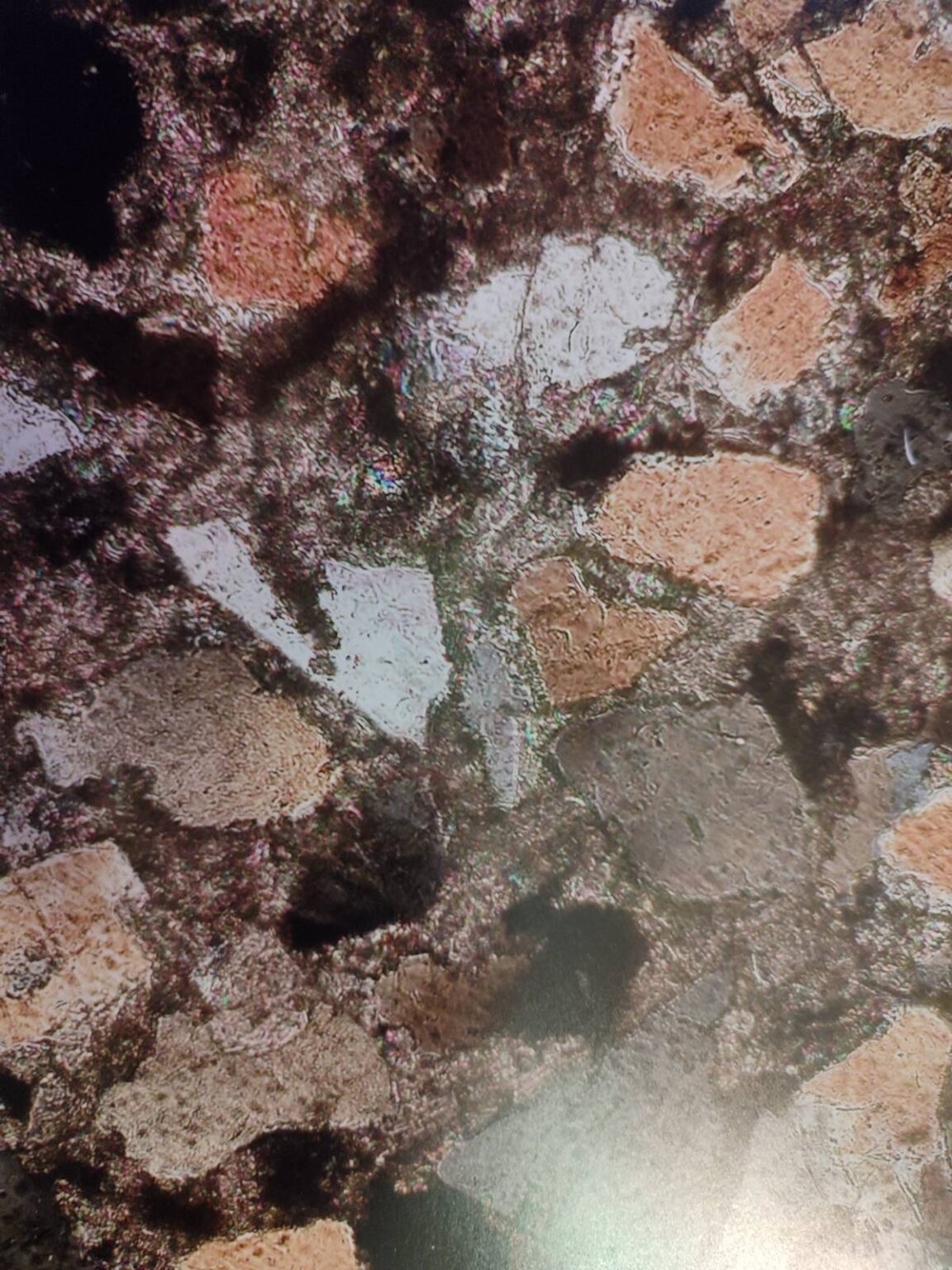 C1206C6F-A25E-43BA-AAE4-E5C00D58C4CC